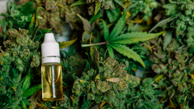 You are currently viewing Botanical Extraction Experts Could Significantly Evolve the Cannabis Industry